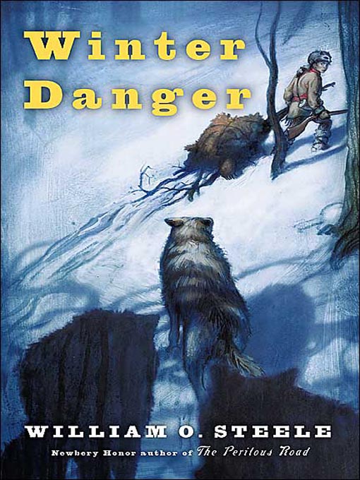 Title details for Winter Danger by William O. Steele - Wait list